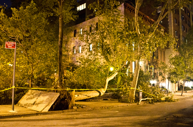 Hurricane Irene Damage